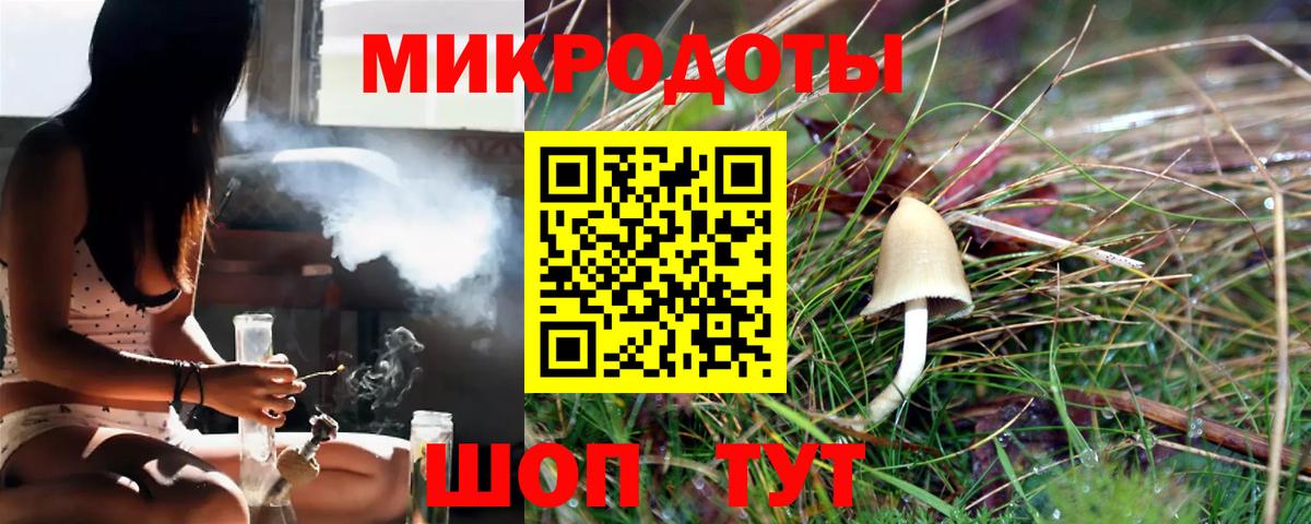 ГАШ Ефремов