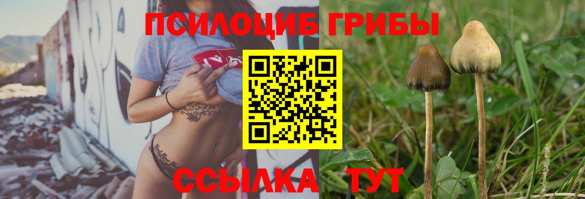 Псилоцибиновые грибы Magic Shrooms Ефремов